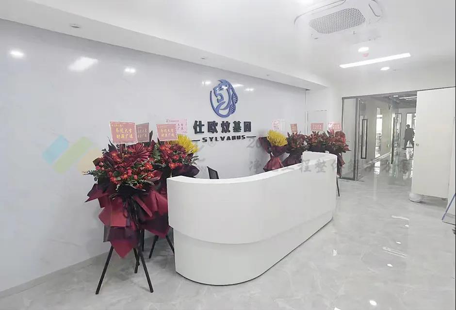 ����?q��)��?y��n)�Ҹ���