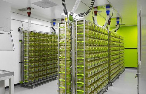 ���﷿��������