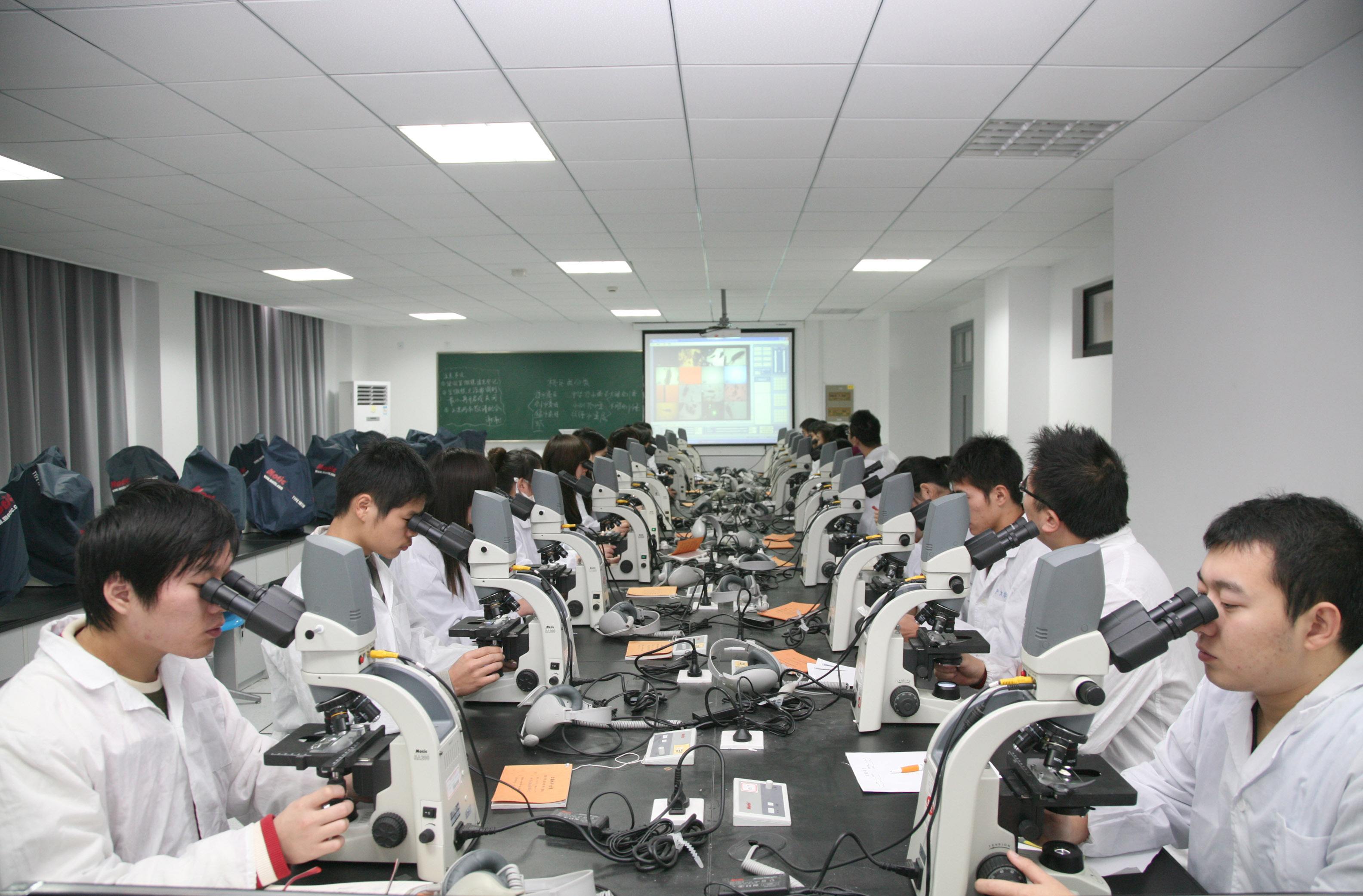 �̌W(xu��)������b��