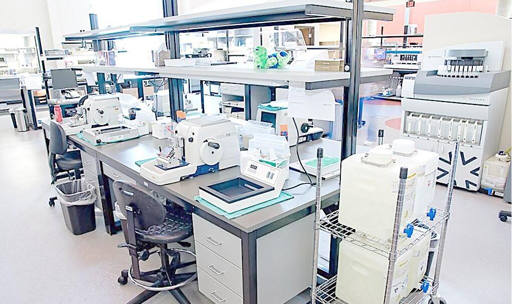 ���Ќ�����b��