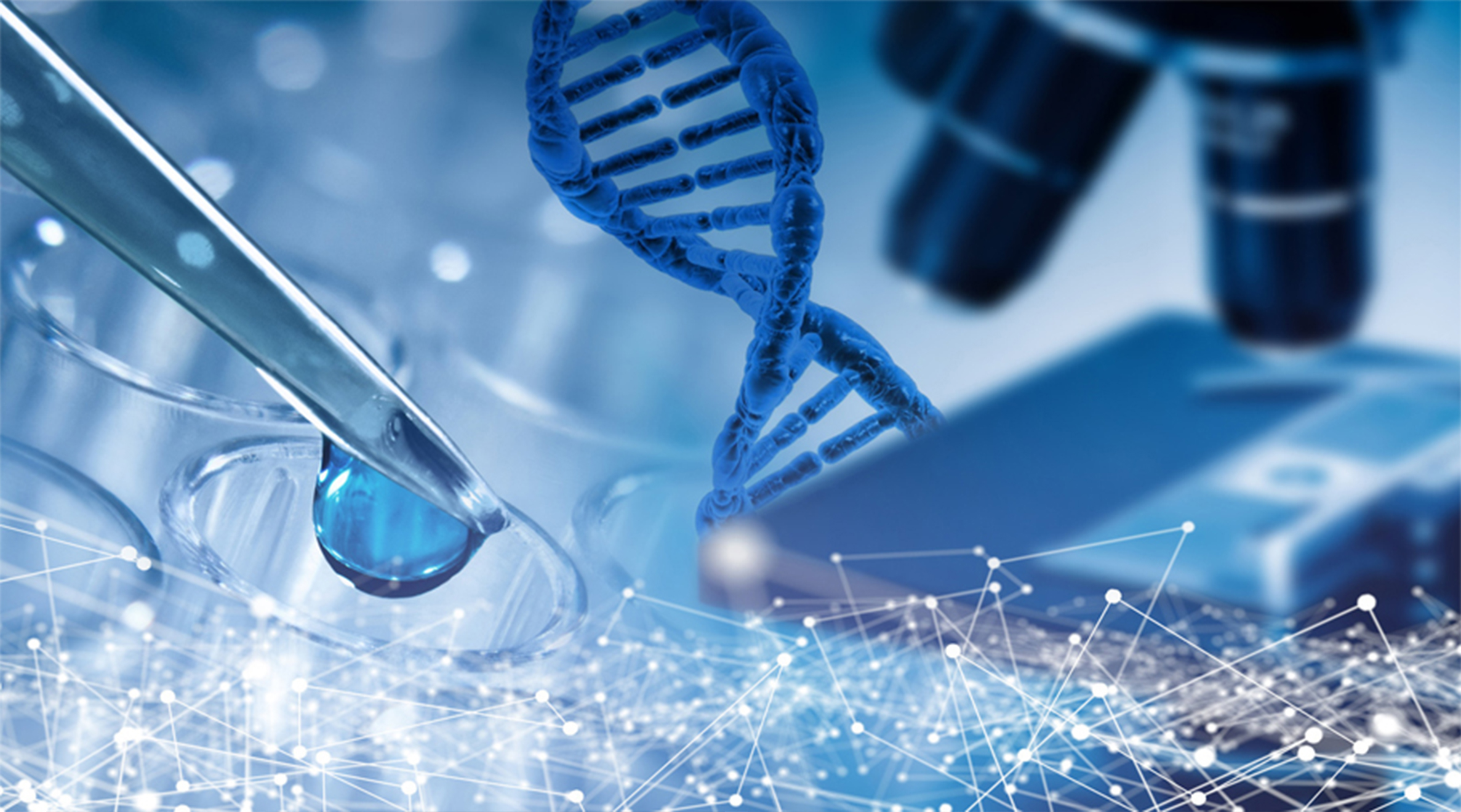 �t(y��)ˎ�������b��